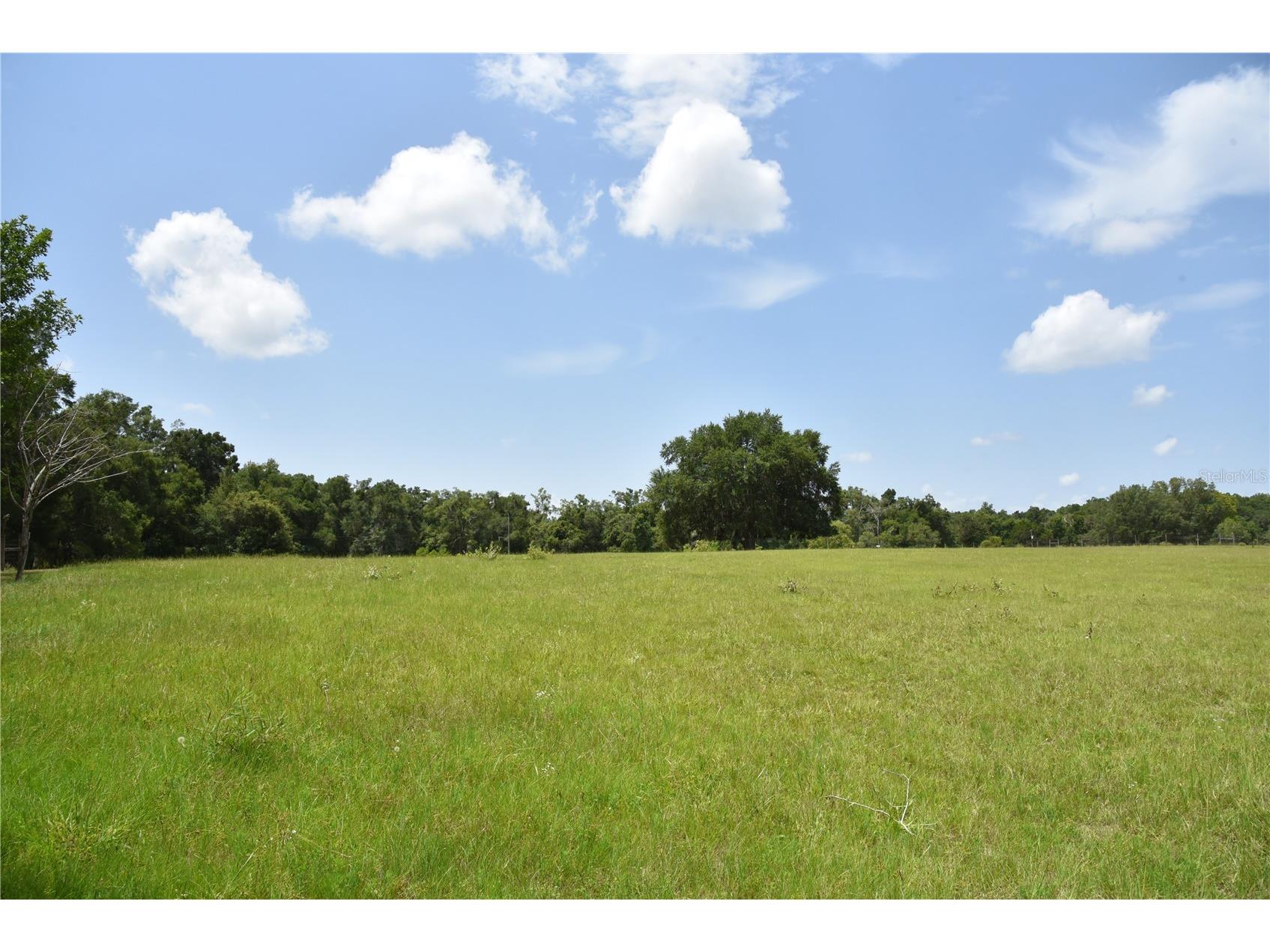 6482 SE 55th Street Trenton FL 32693 OM728469 image58