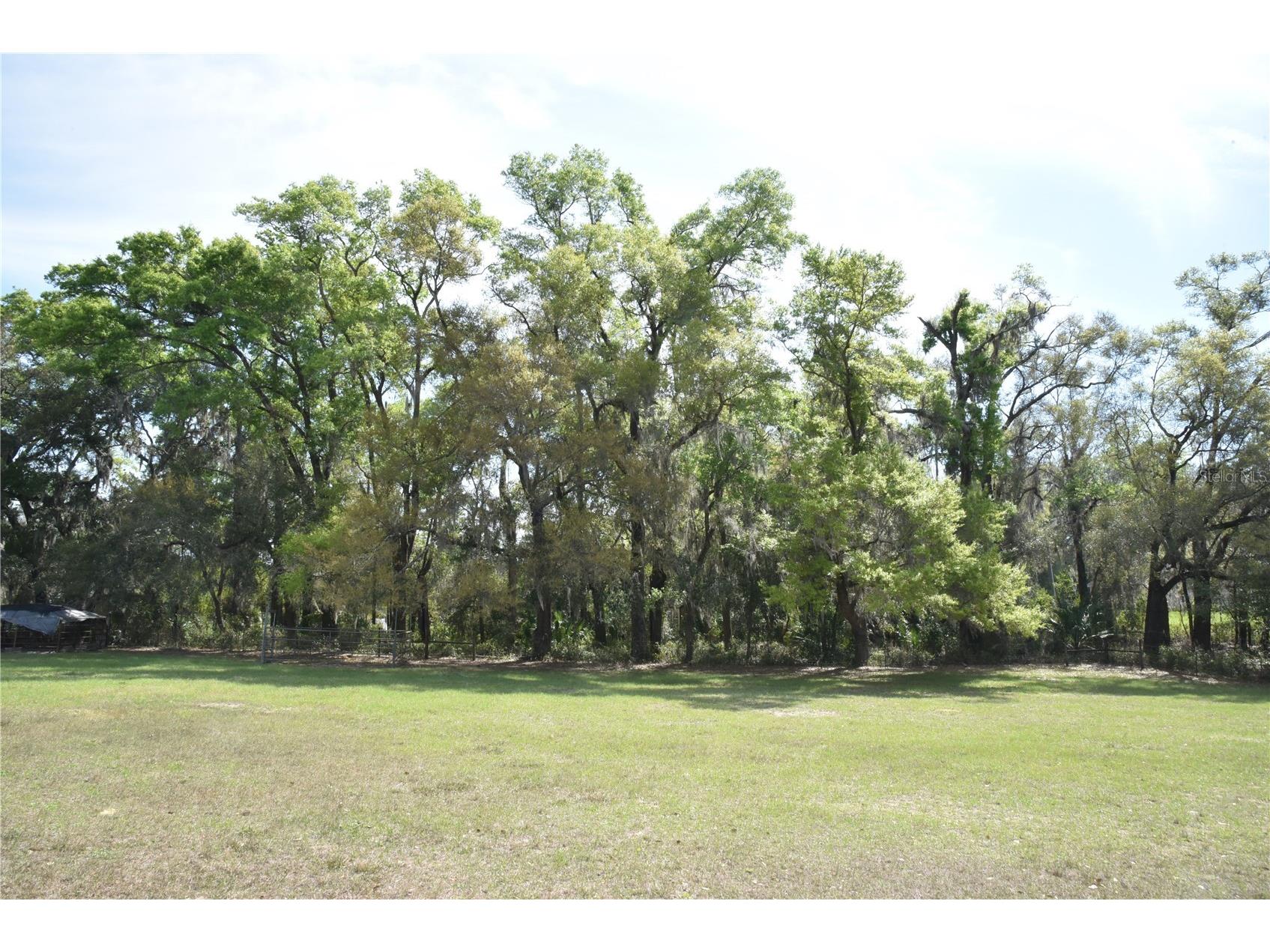6482 SE 55th Street Trenton FL 32693 OM728469 image70