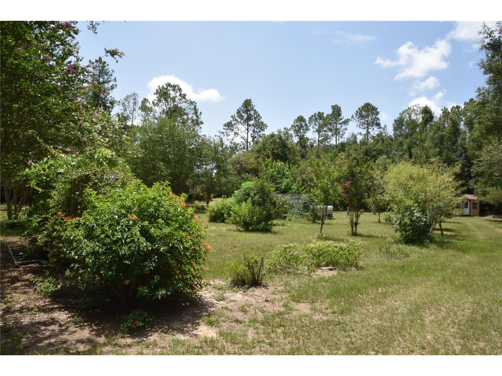 6482 SE 55th Street Trenton FL 32693 OM728469 image72