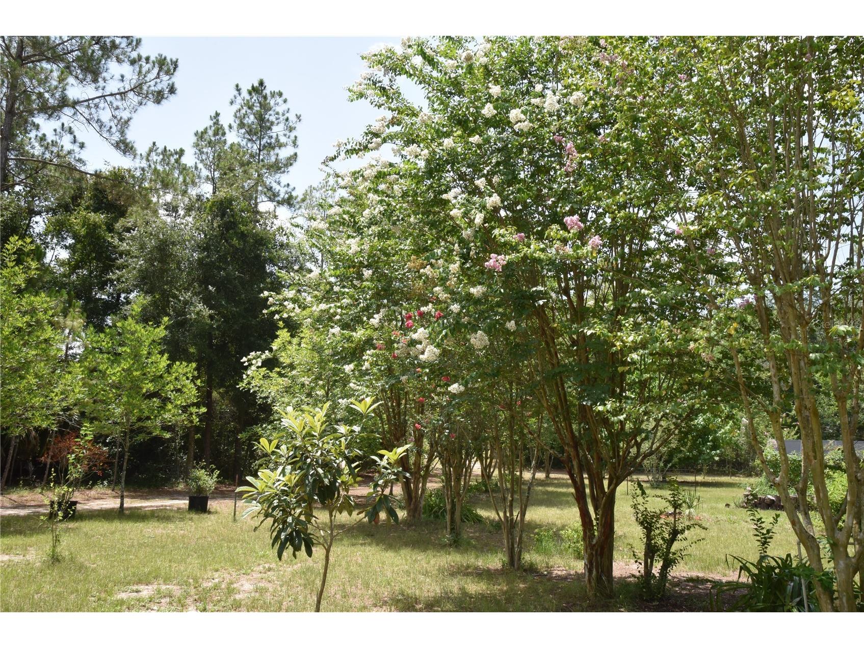 6482 SE 55th Street Trenton FL 32693 OM728469 image73