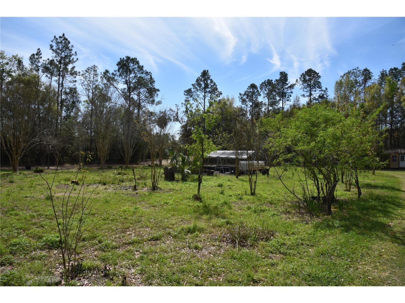 6482 SE 55th Street Trenton FL 32693 OM728469 image74