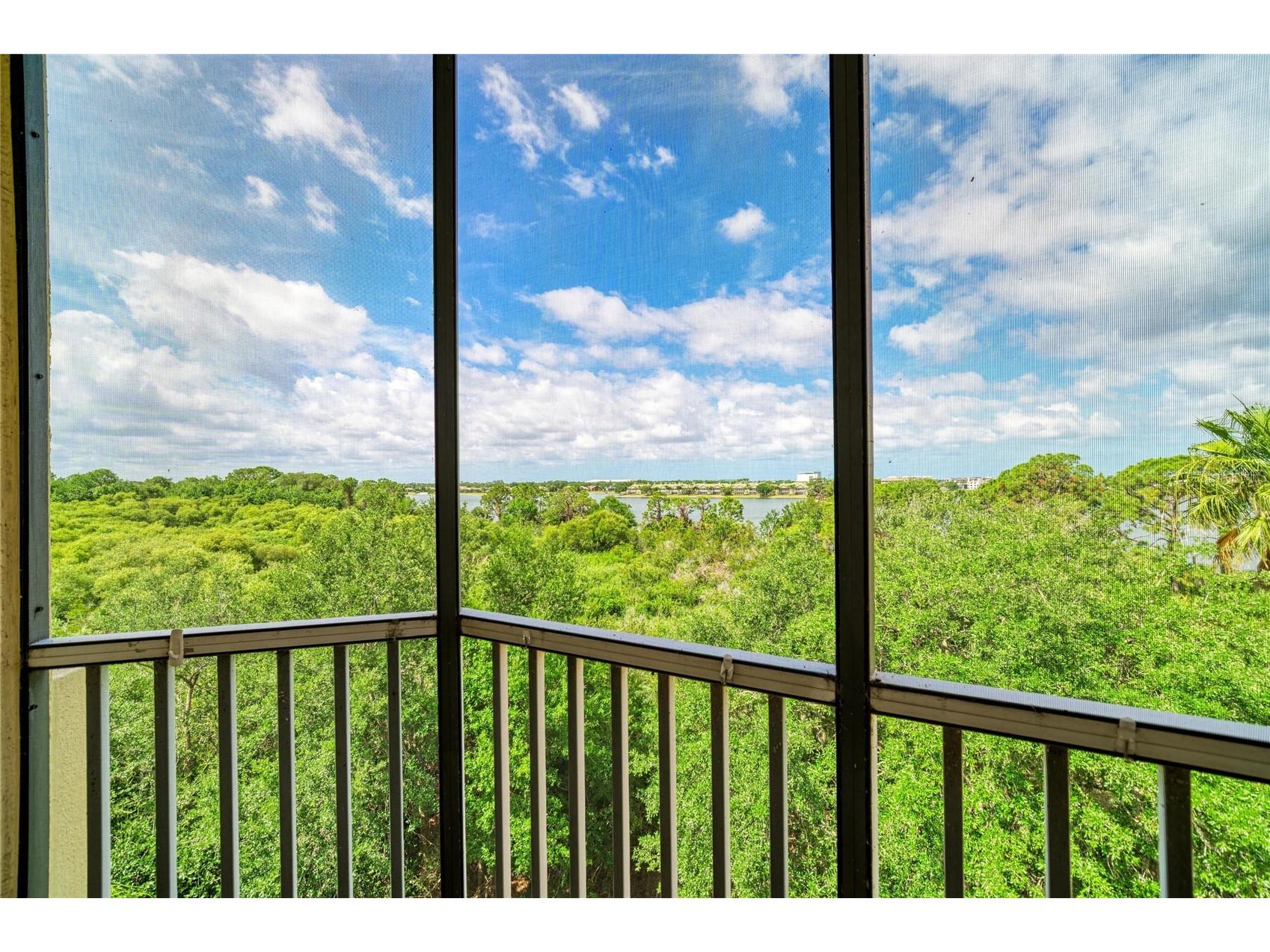 6482 Watercrest Way #404 Lakewood Ranch FL 34202 A4692729 image43