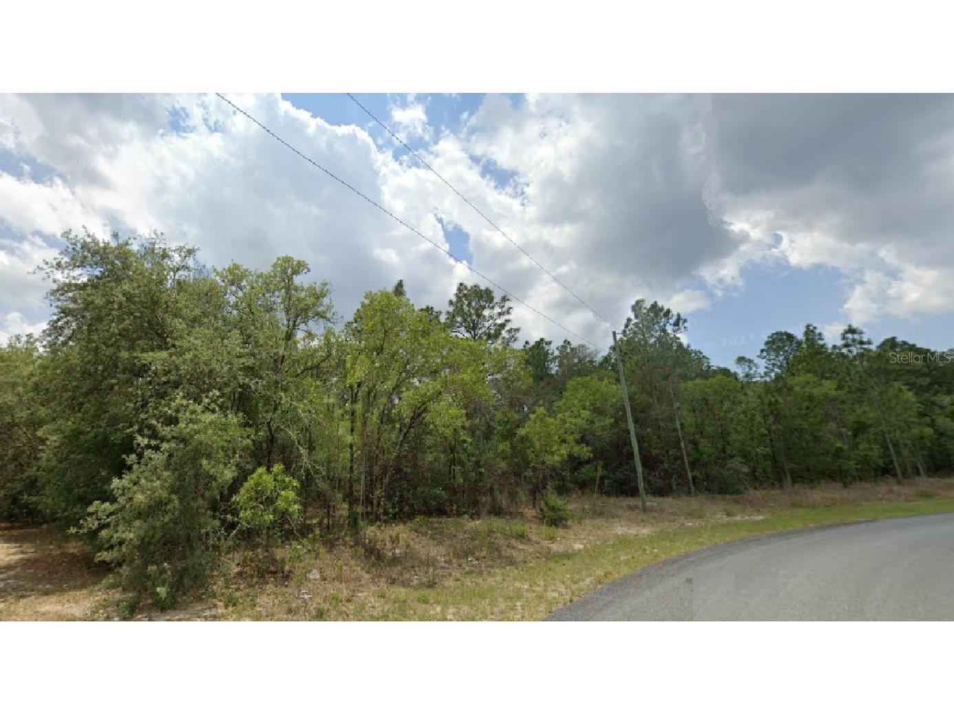 6487 N Airmont Drive Citrus Springs FL 34433 O6146676 image1