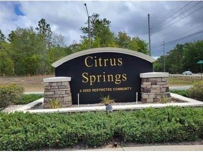 6487 N Airmont Drive Citrus Springs FL 34433 O6174075 image1