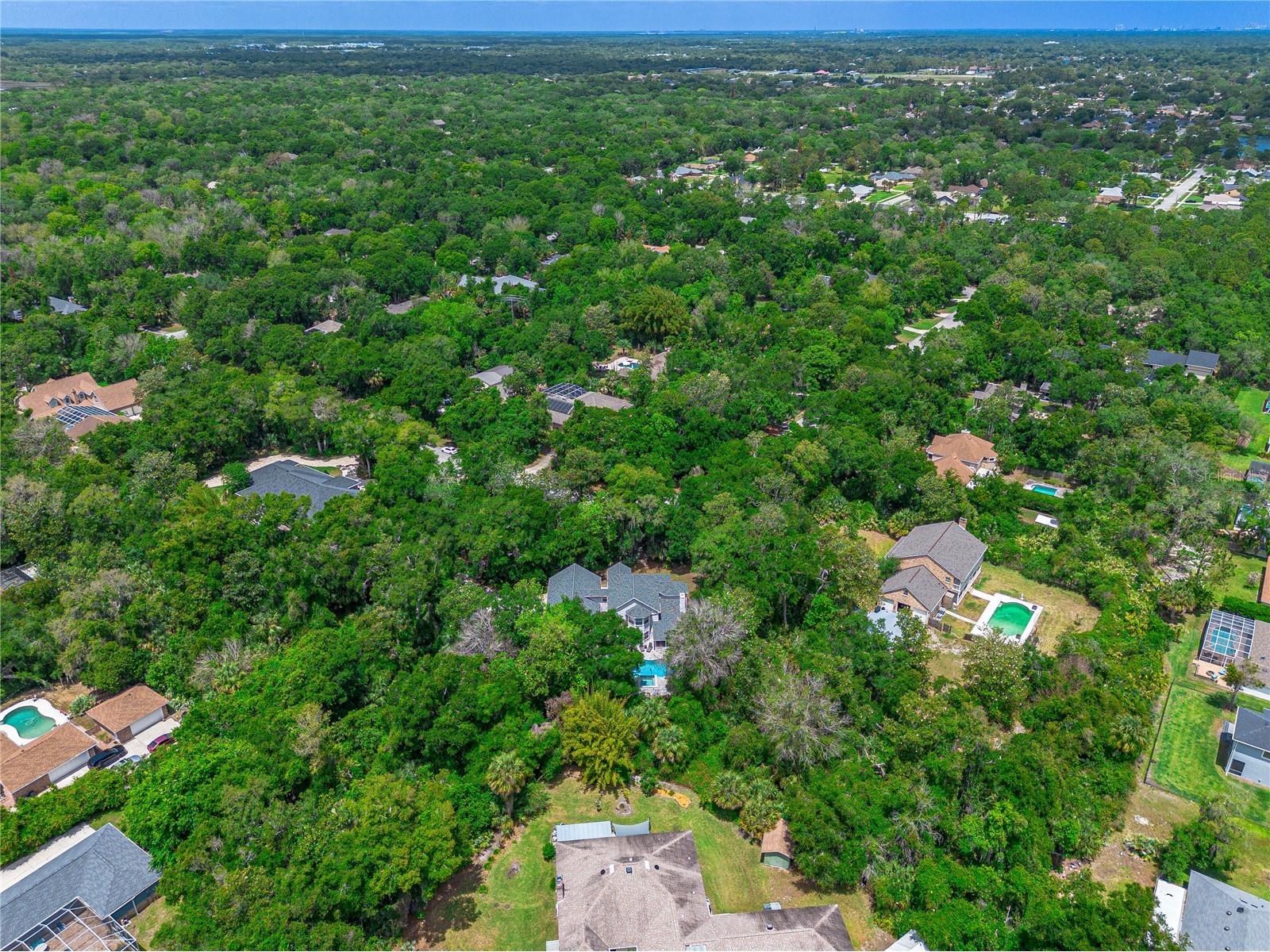 649 Charmagne Lane Port Orange FL 32127 V4948659 image65