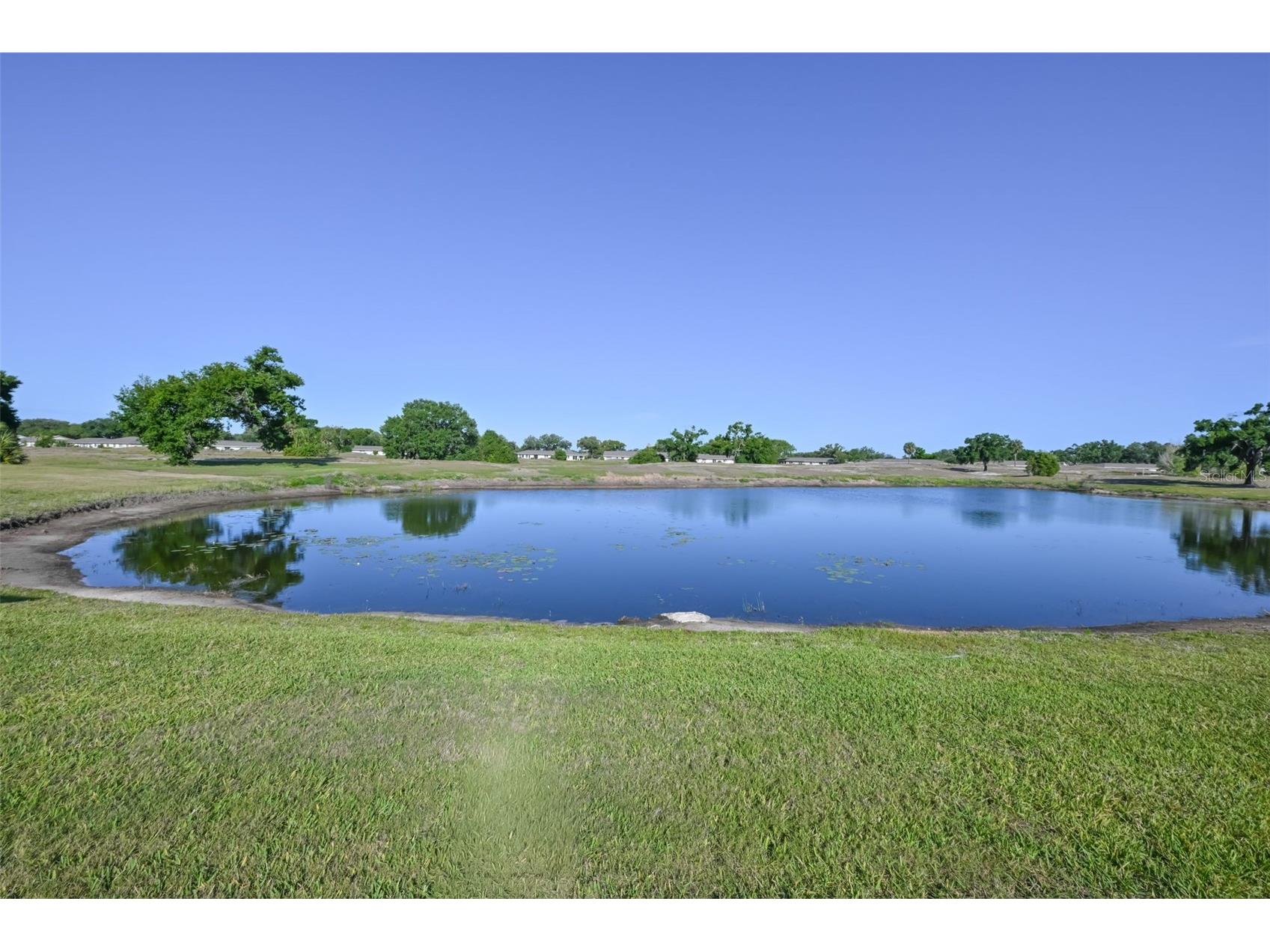 649 Masterpiece Drive #156 Sun City Center FL 33573 TB8494126 image4