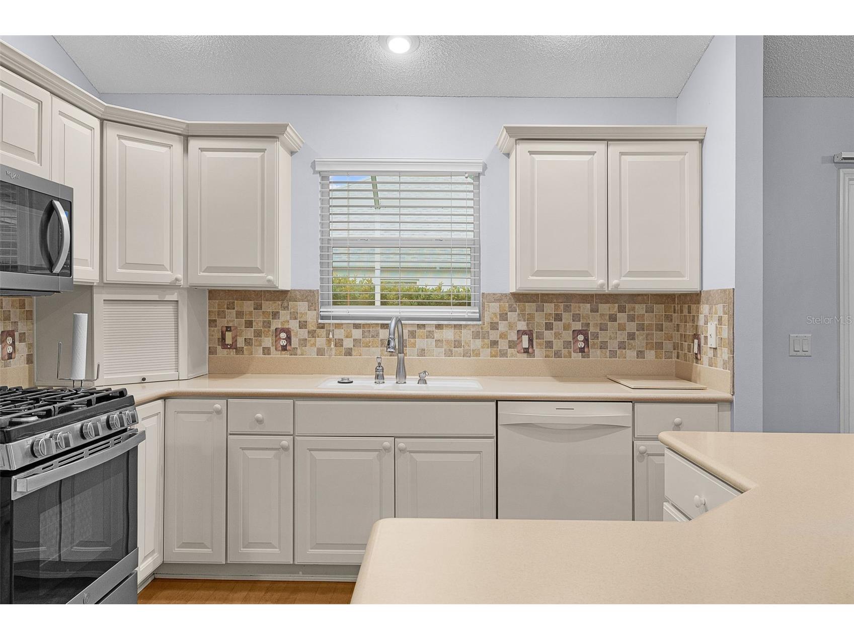 649 Ravenel Court The Villages FL 32162 G5115031 image17
