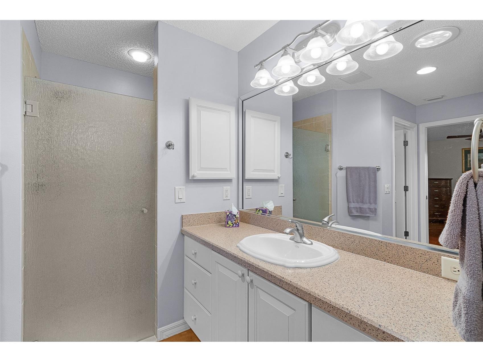 649 Ravenel Court The Villages FL 32162 G5115031 image24