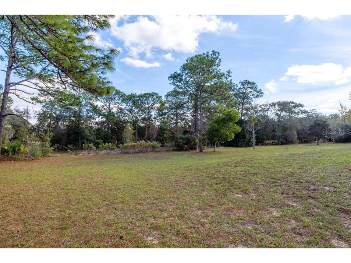 649 S West Bend Point Lecanto FL 34461 OM713759 image52