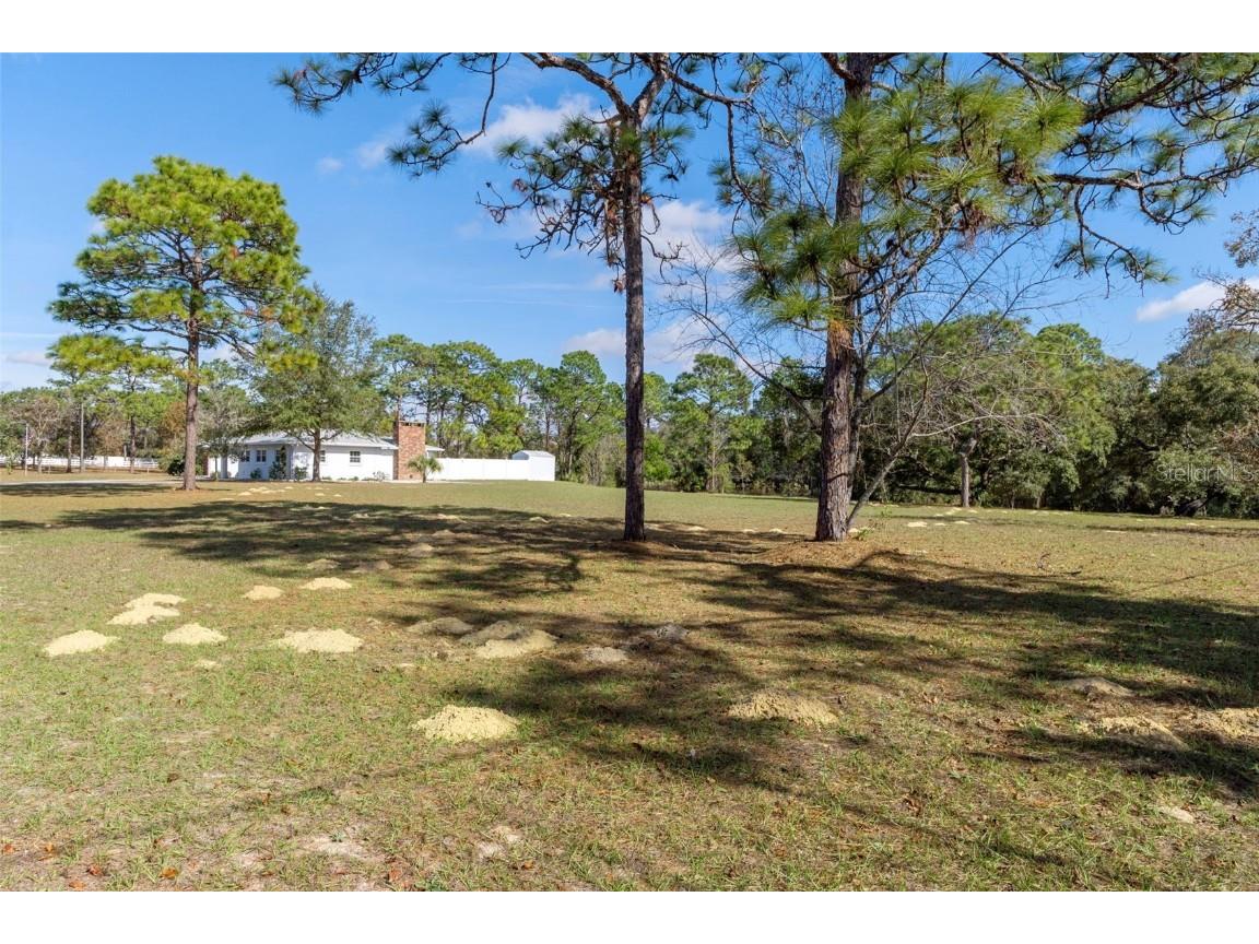 649 S West Bend Point Lecanto FL 34461 OM713759 image55