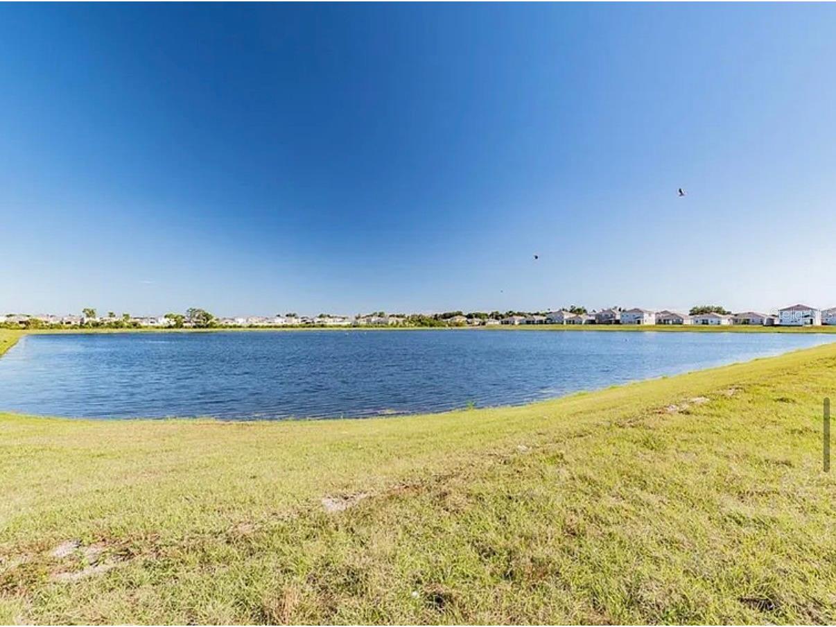 649 Sunlit Coral Street Ruskin FL 33570 TB8504327 image24
