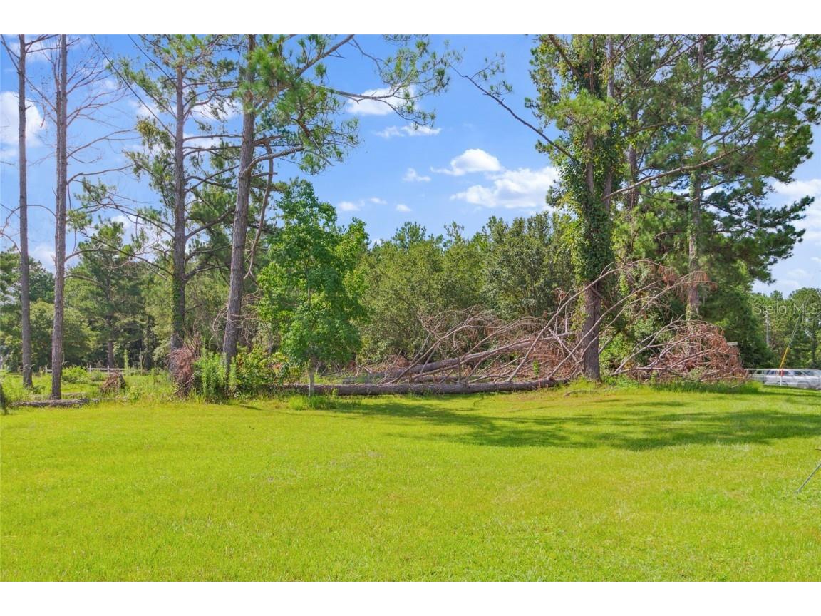 649 W Base Street Madison FL 32340 C7516446 image81