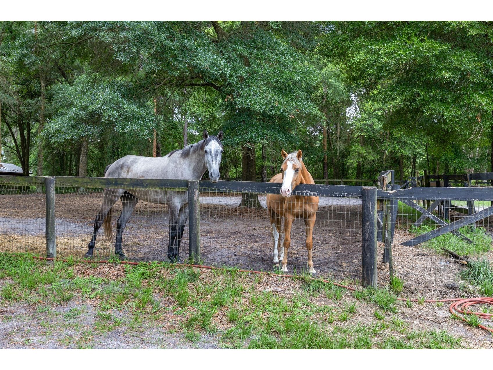 6490 NE 167th Avenue Williston FL 32696 OM711286 image17