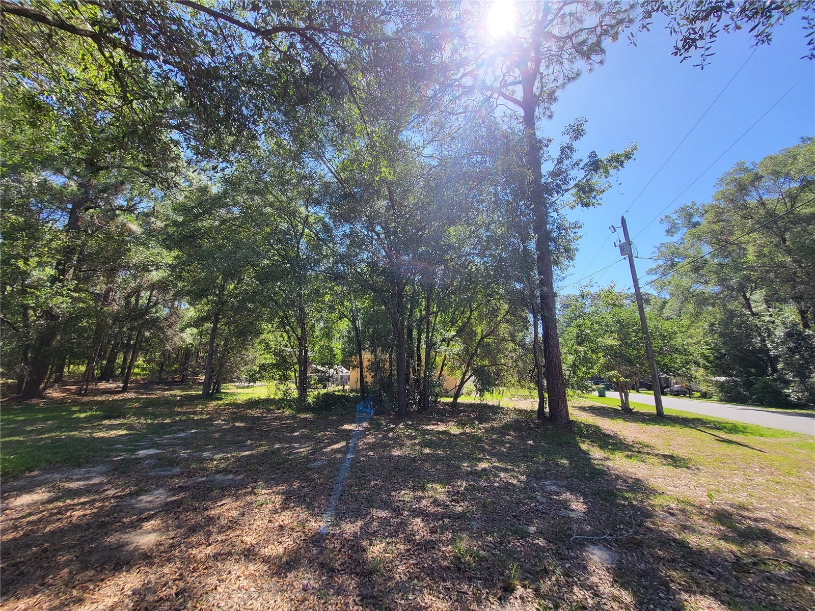 6491 E Lowden Street Inverness FL 34452 OM724931 image2