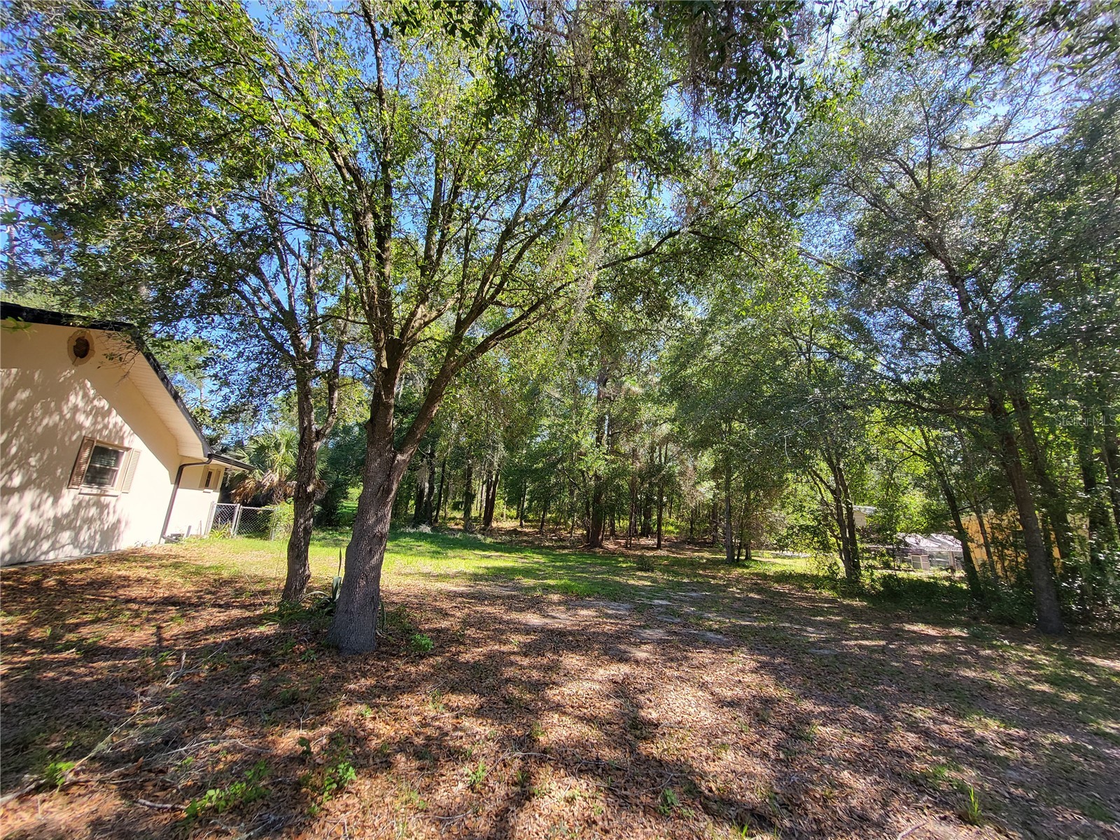 6491 E Lowden Street Inverness FL 34452 OM724931 image4