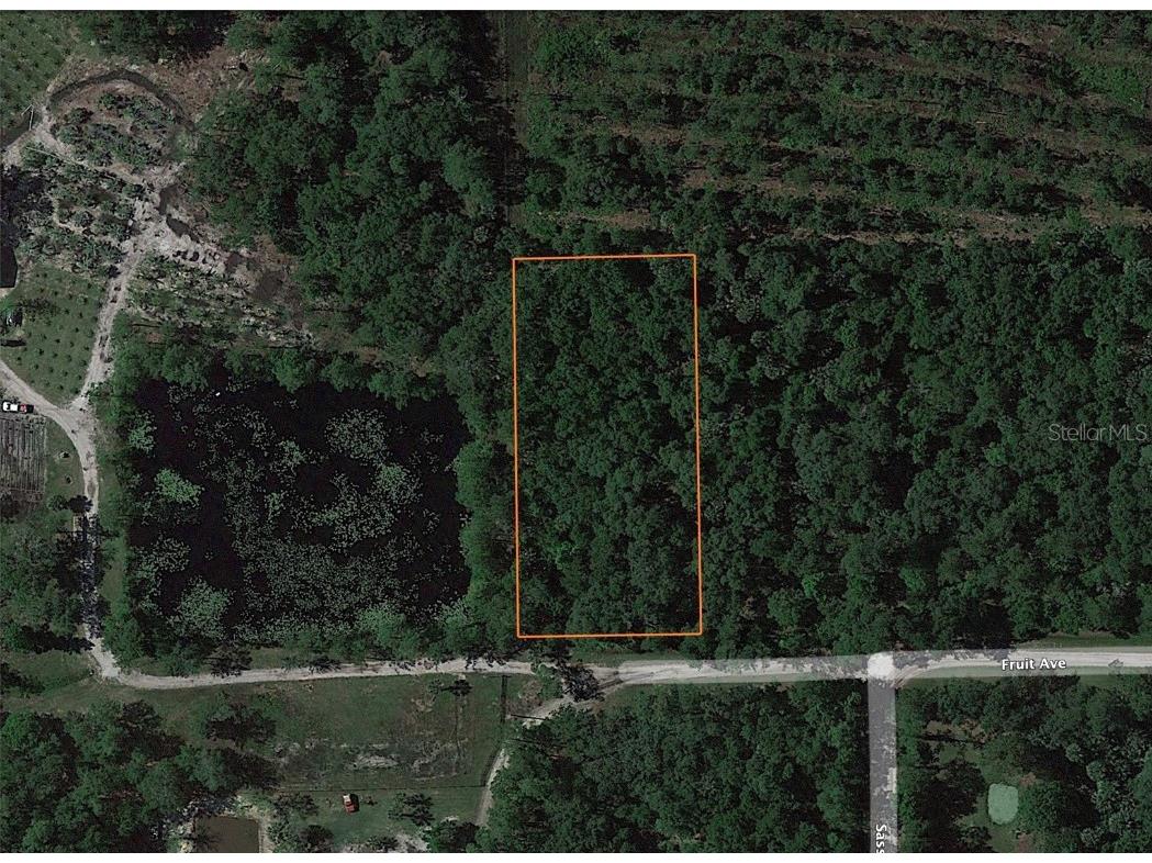 6491 Fruit Avenue Bunnell FL 32110 TB8319651 image1