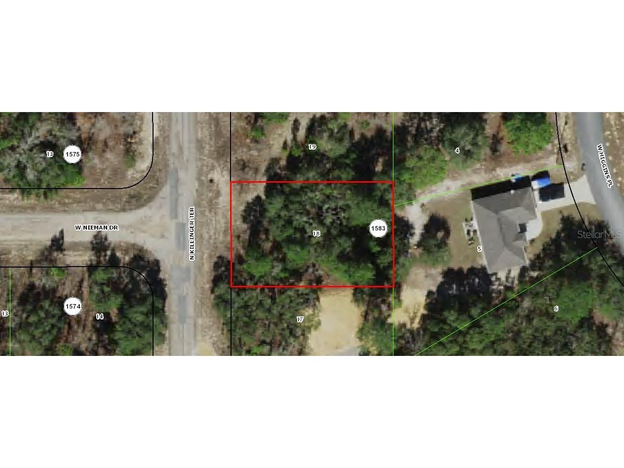 6491 N Killinger Terrace Citrus Springs FL 34433 OM714867 image1