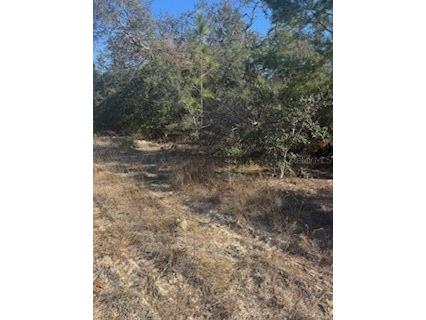 6491 N Killinger Terrace Citrus Springs FL 34433 OM714867 image2