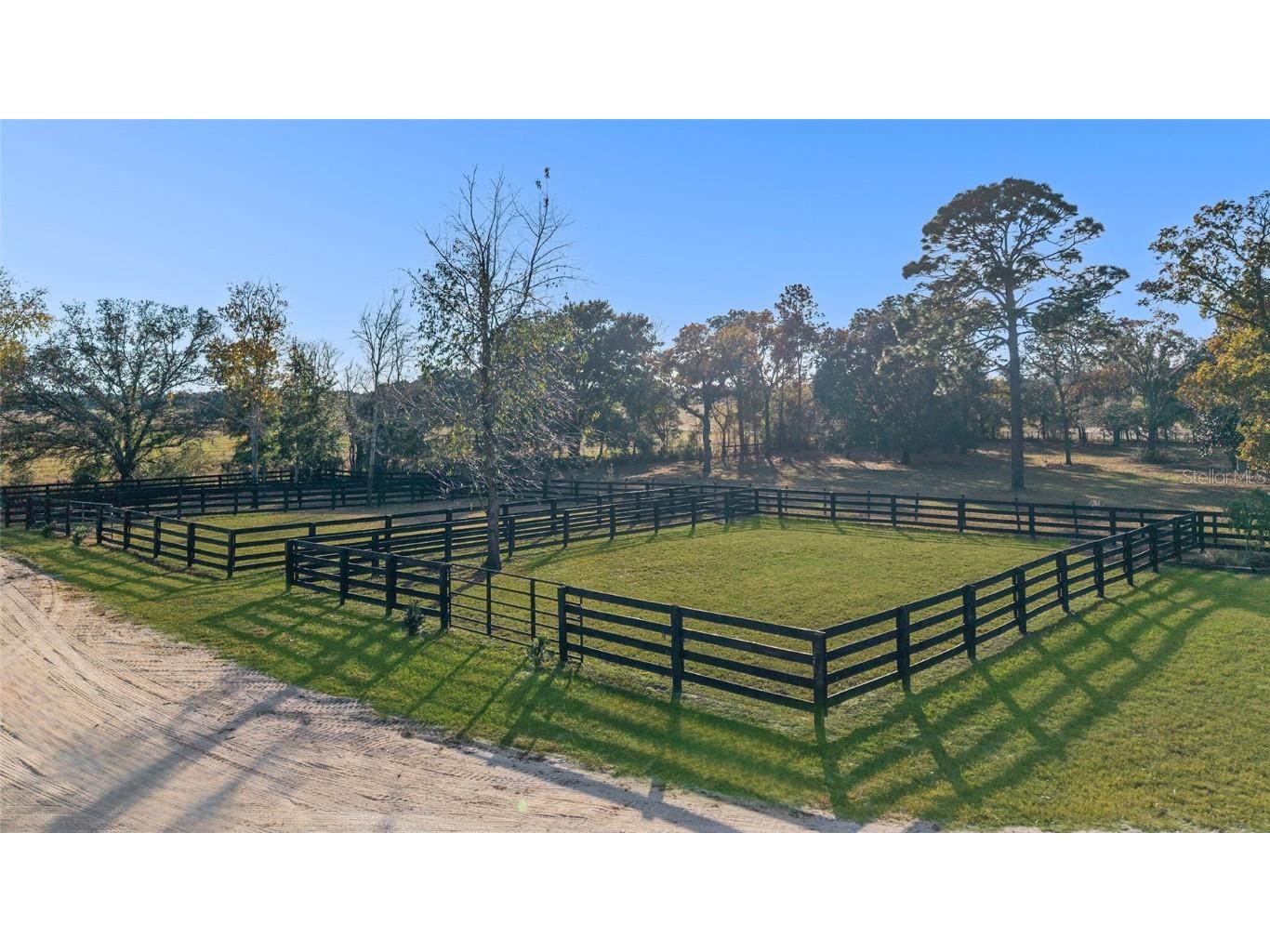 6491 SE 185th Terrace Morriston FL 32668 OM714737 image43