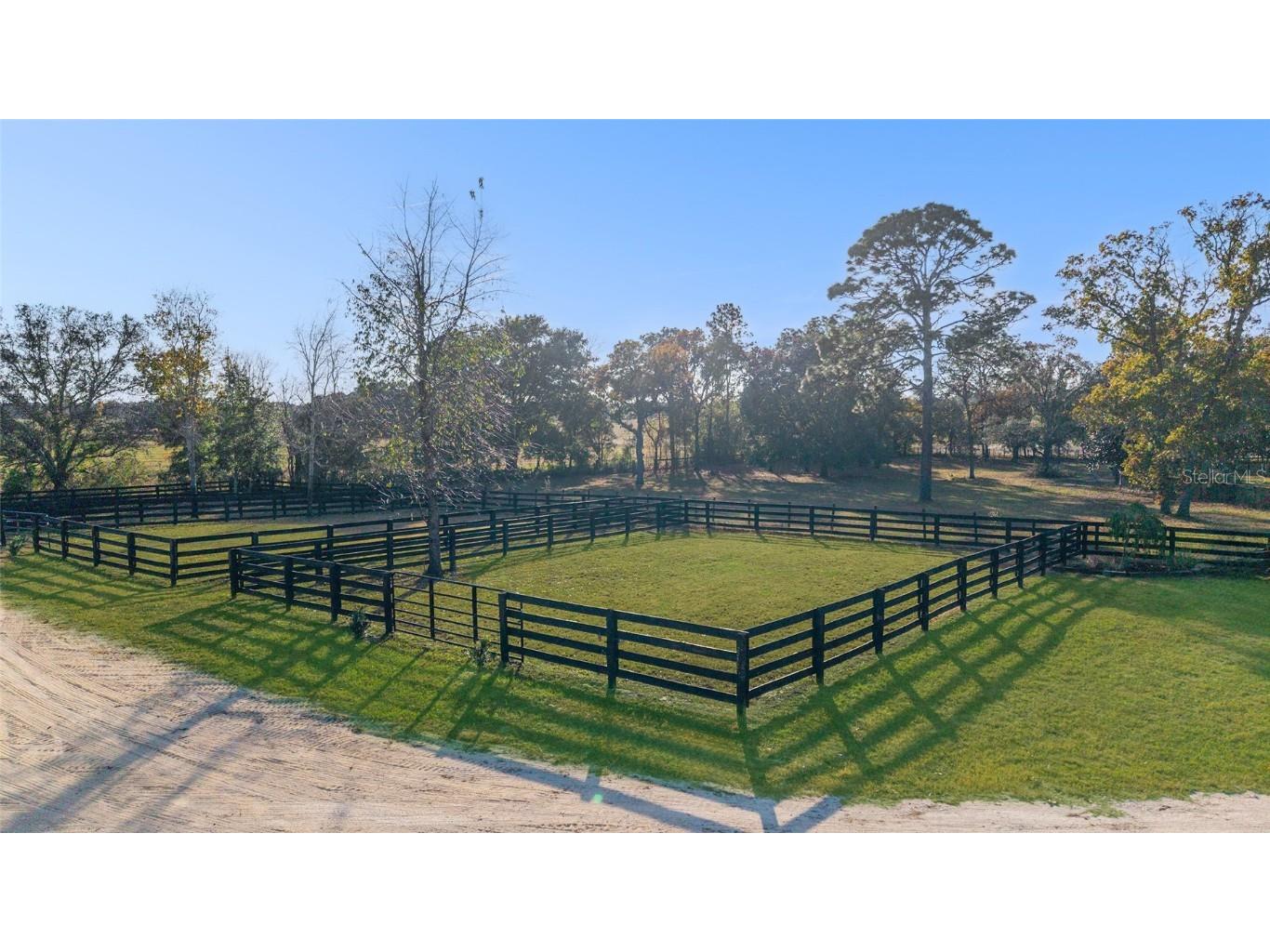 6491 SE 185th Terrace Morriston FL 32668 OM714737 image44