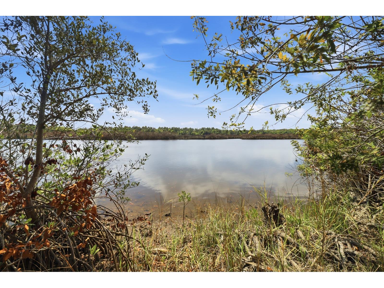 6491 Spruce Creek Road Port Orange FL 32127 - Spruce Creek V4948097 image52