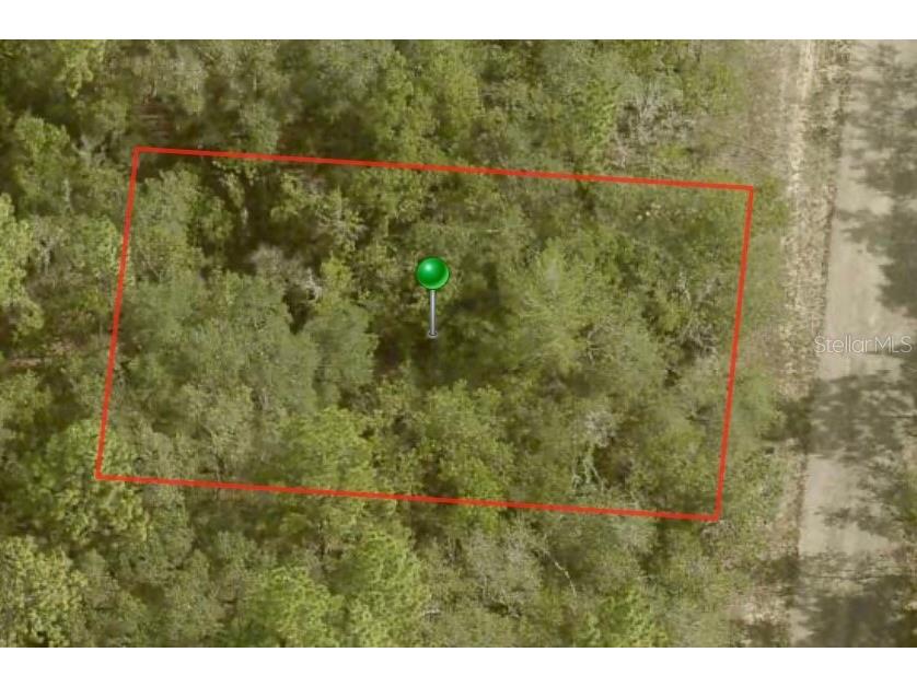 6492 N Baylor Terrace Citrus Springs FL 34433 A4601740 image1