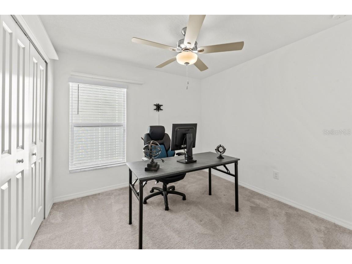 6494 Beverly Hills Drive Zephyrhills FL 33541 TB8436799 image19