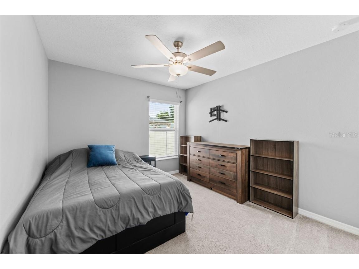 6494 Beverly Hills Drive Zephyrhills FL 33541 TB8436799 image21