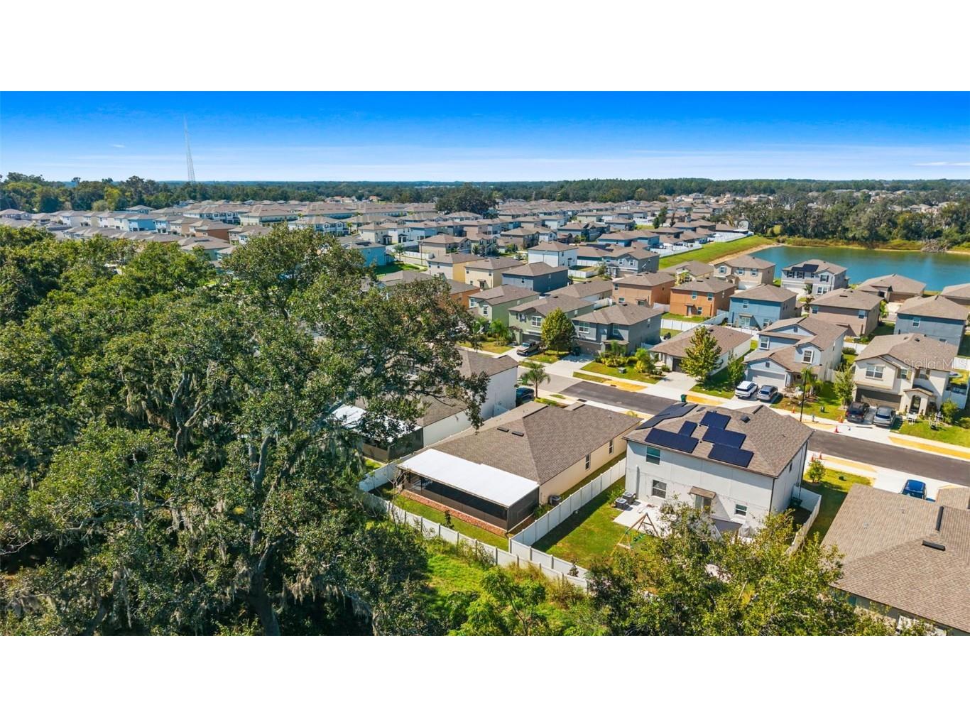 6494 Beverly Hills Drive Zephyrhills FL 33541 TB8436799 image33