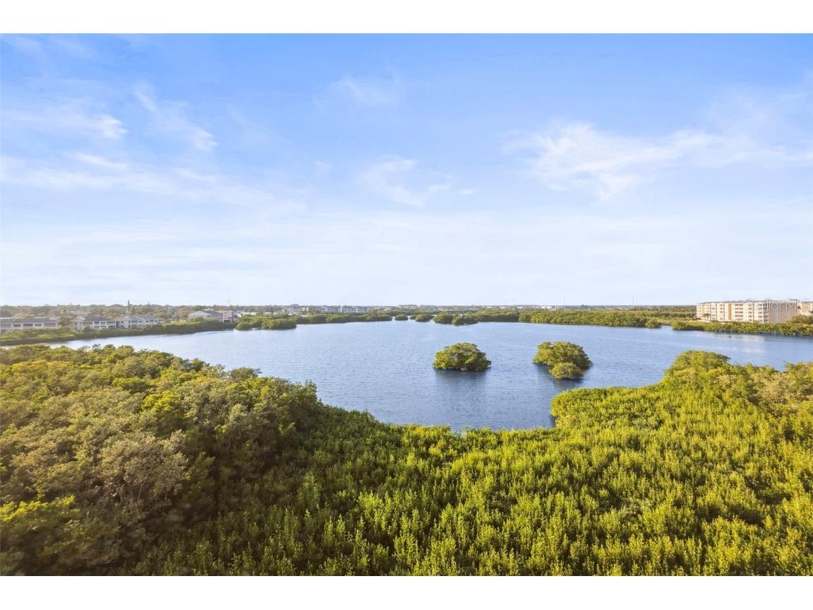 6495 Shoreline Drive #8502 Saint Petersburg FL 33708 TB8449511 image1
