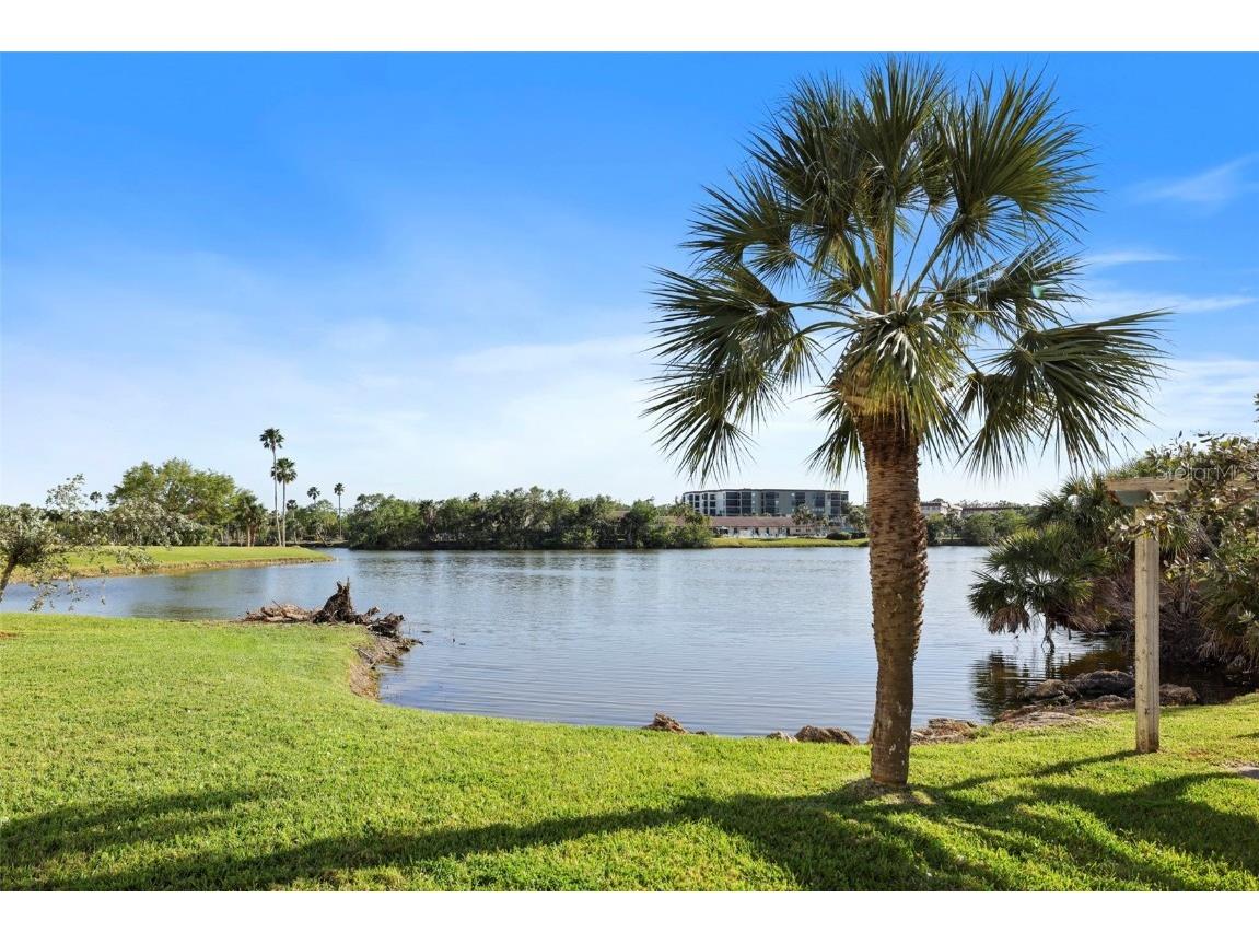 6495 Shoreline Drive #8502 Saint Petersburg FL 33708 TB8449511 image31