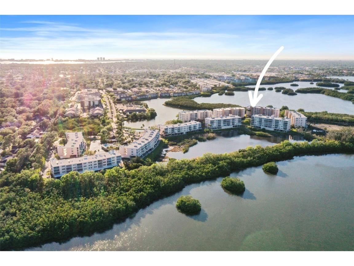 6495 Shoreline Drive #8502 Saint Petersburg FL 33708 TB8449511 image38