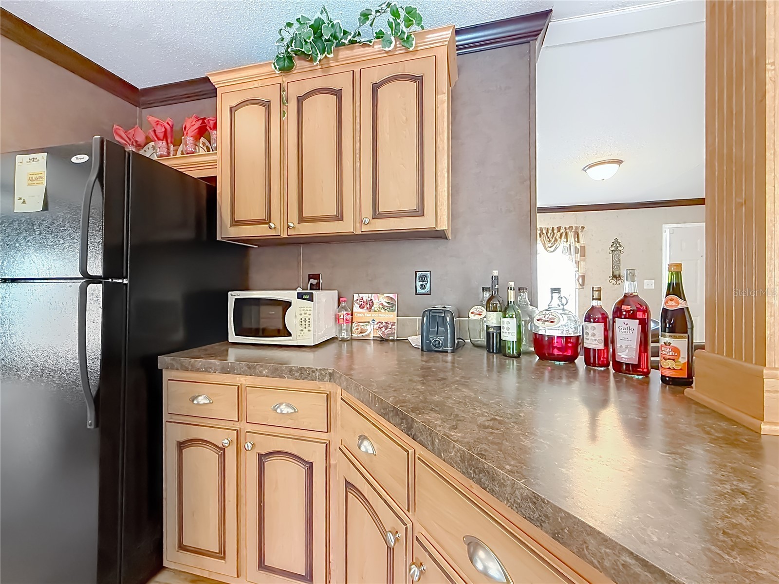 6498 W Rosedale Drive Homosassa FL 34448 TB8526739 image13