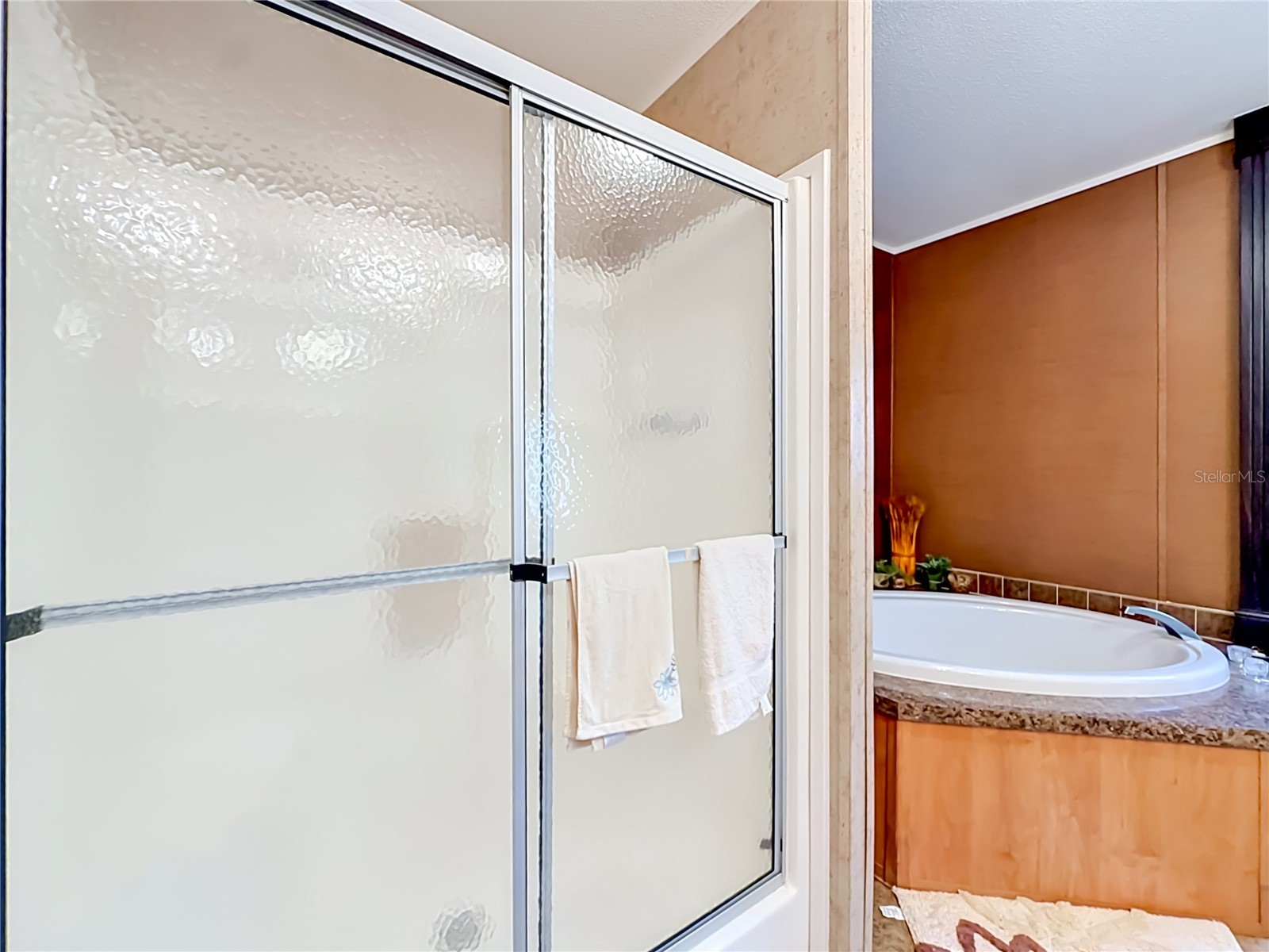 6498 W Rosedale Drive Homosassa FL 34448 TB8526739 image32