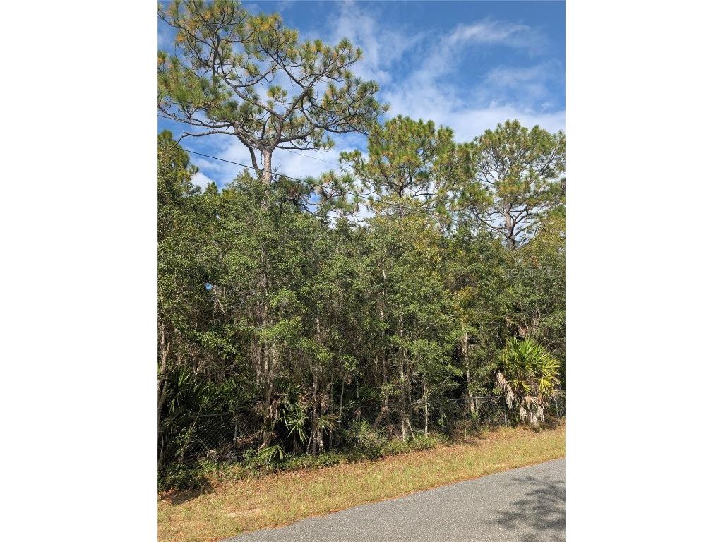 6499 W Heritage Drive Homosassa FL 34448 W7879578 image2