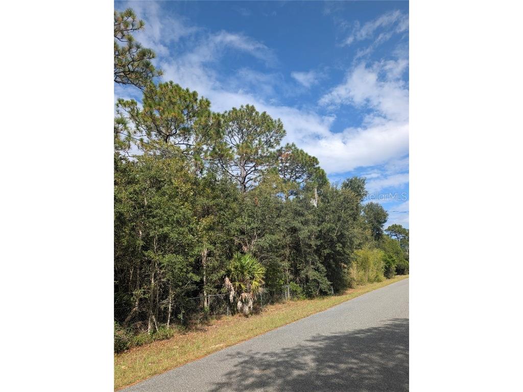 6499 W Heritage Drive Homosassa FL 34448 W7879578 image3