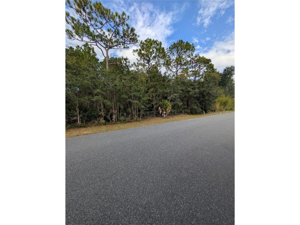 6499 W Heritage Drive Homosassa FL 34448 W7879578 image4