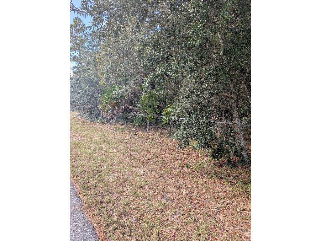 6499 W Heritage Drive Homosassa FL 34448 W7879578 image5