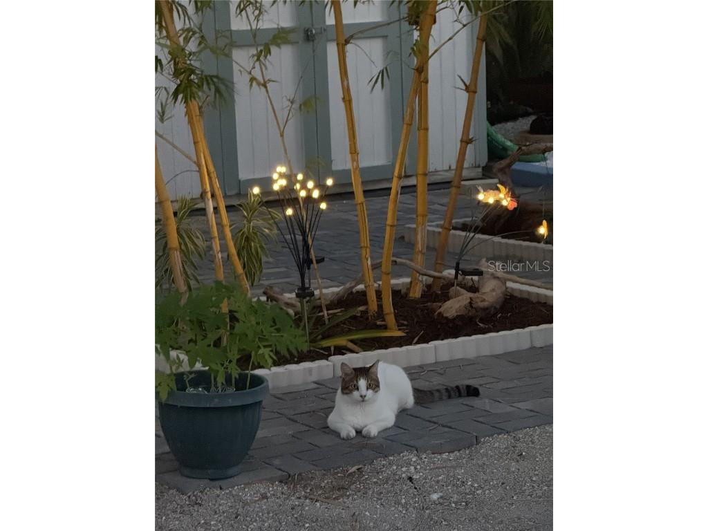 65 Sand Dollar Lane Englewood FL 34223 D6144988 image37