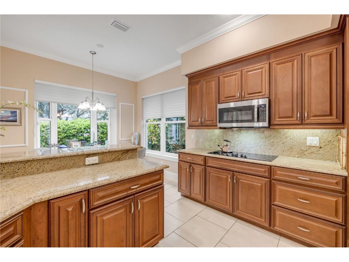 65 Calumet Avenue Ponce Inlet FL 32127 V4941246 image32