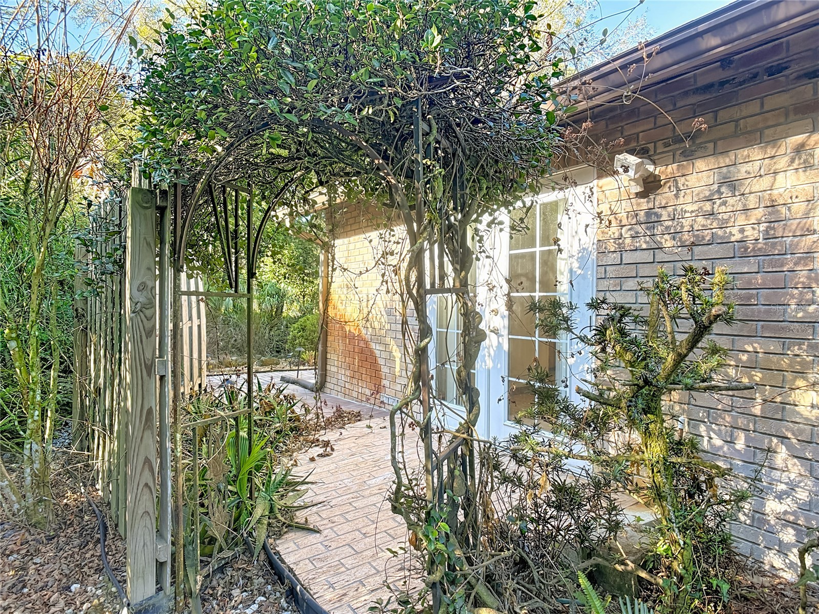 65 Elmwood Trail Deland FL 32724 G5107944 image39