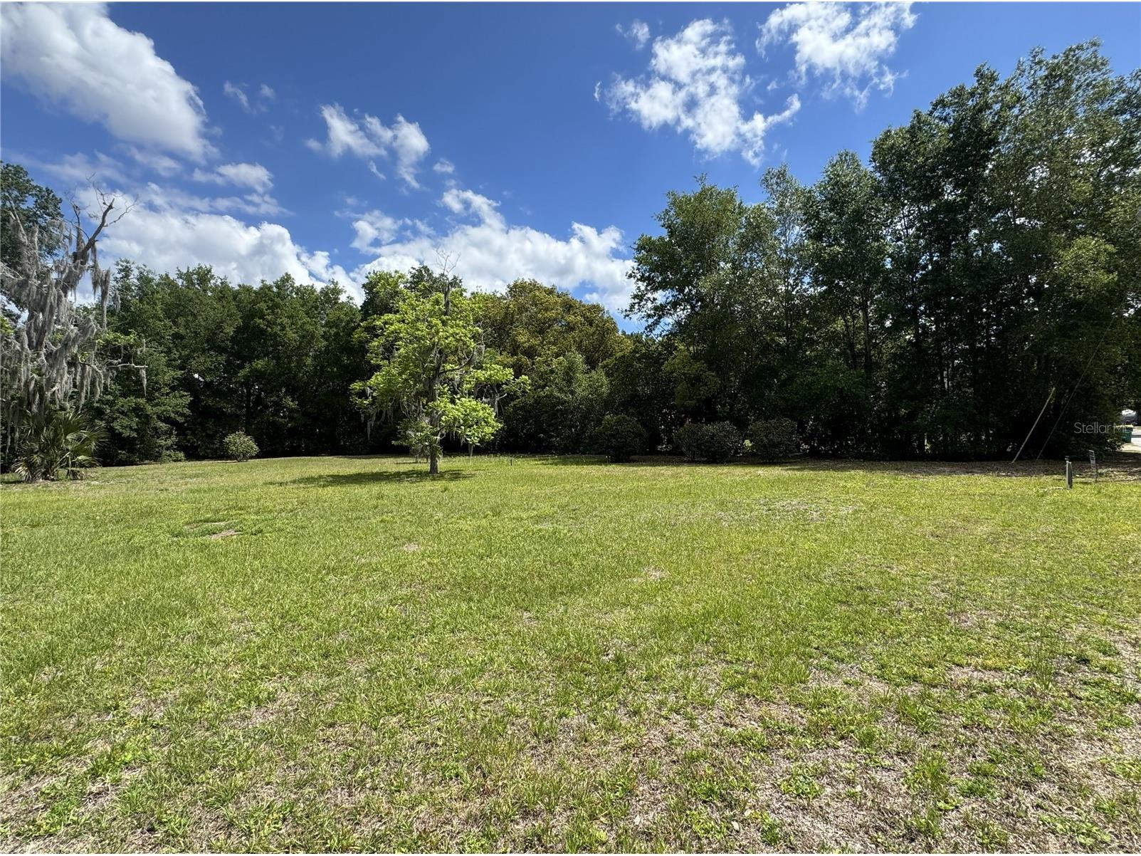 65 Howard Street Umatilla FL 32784 FC318051 image3