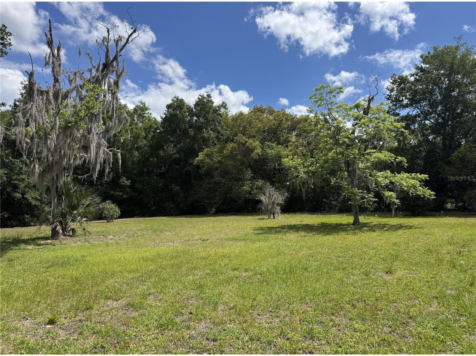 65 Howard Street Umatilla FL 32784 FC318051 image4