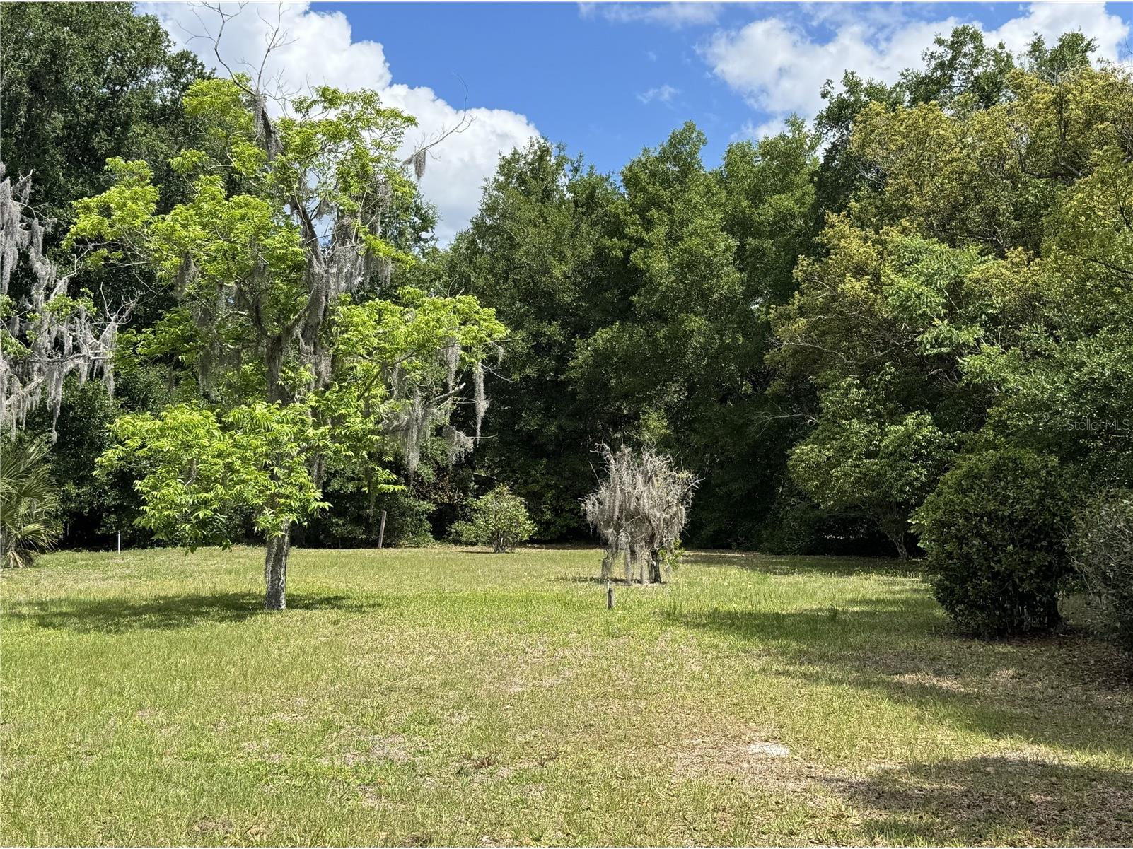 65 Howard Street Umatilla FL 32784 FC318051 image5