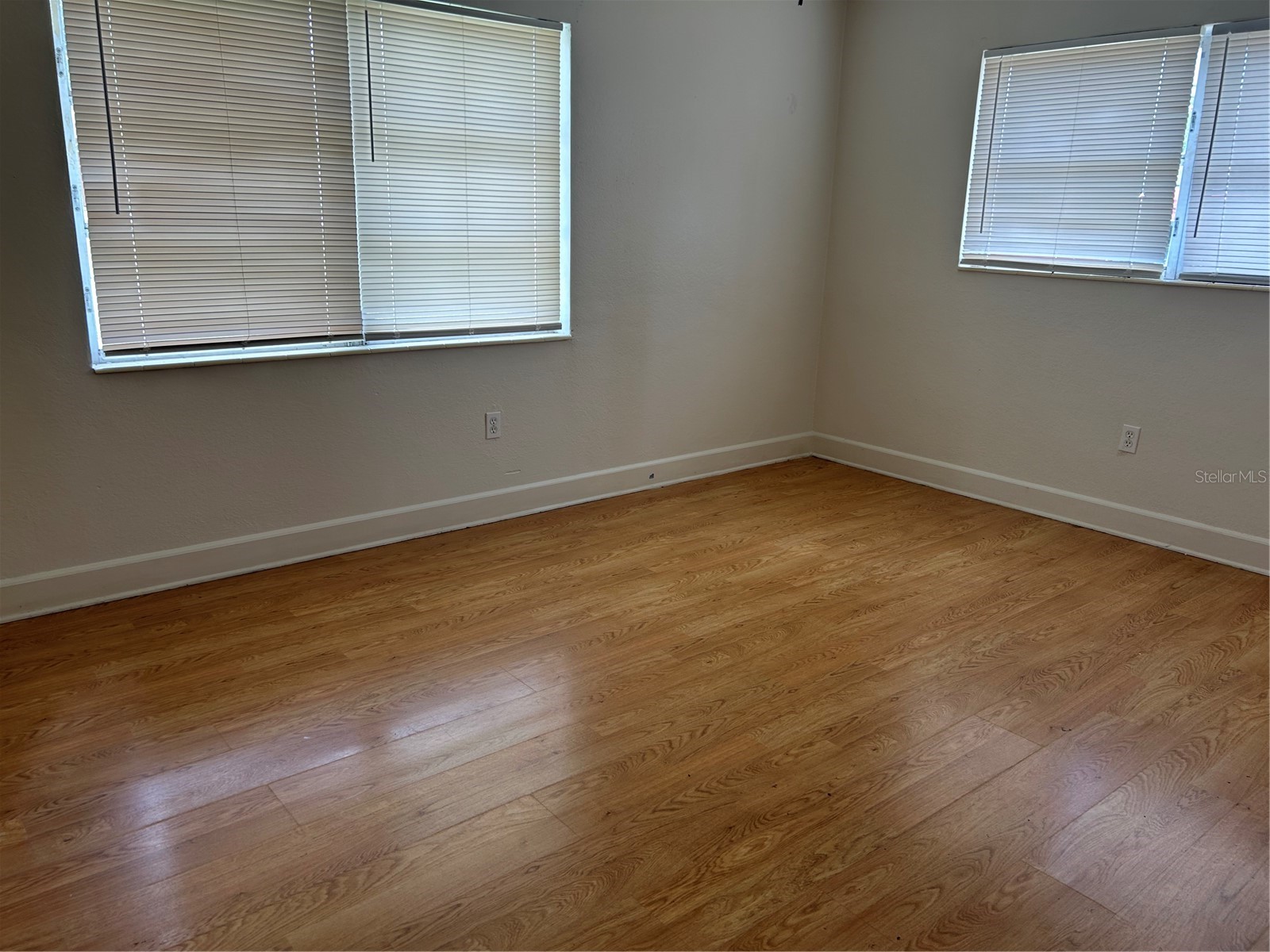 65 Lake Shore Drive Palm Harbor FL 34684 TB8487136 image12