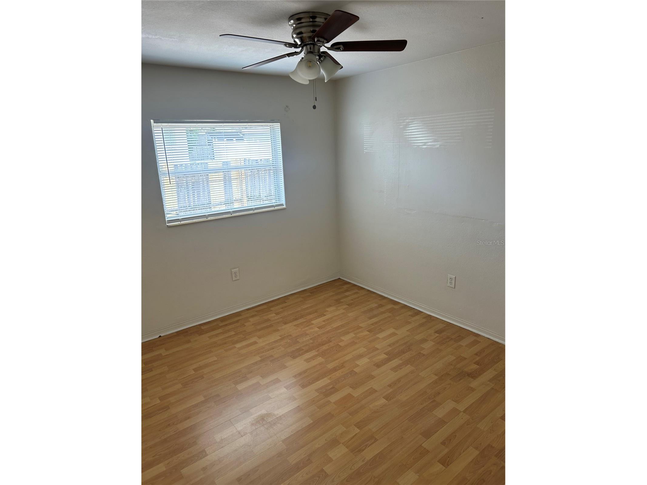 65 Lake Shore Drive Palm Harbor FL 34684 TB8487136 image14