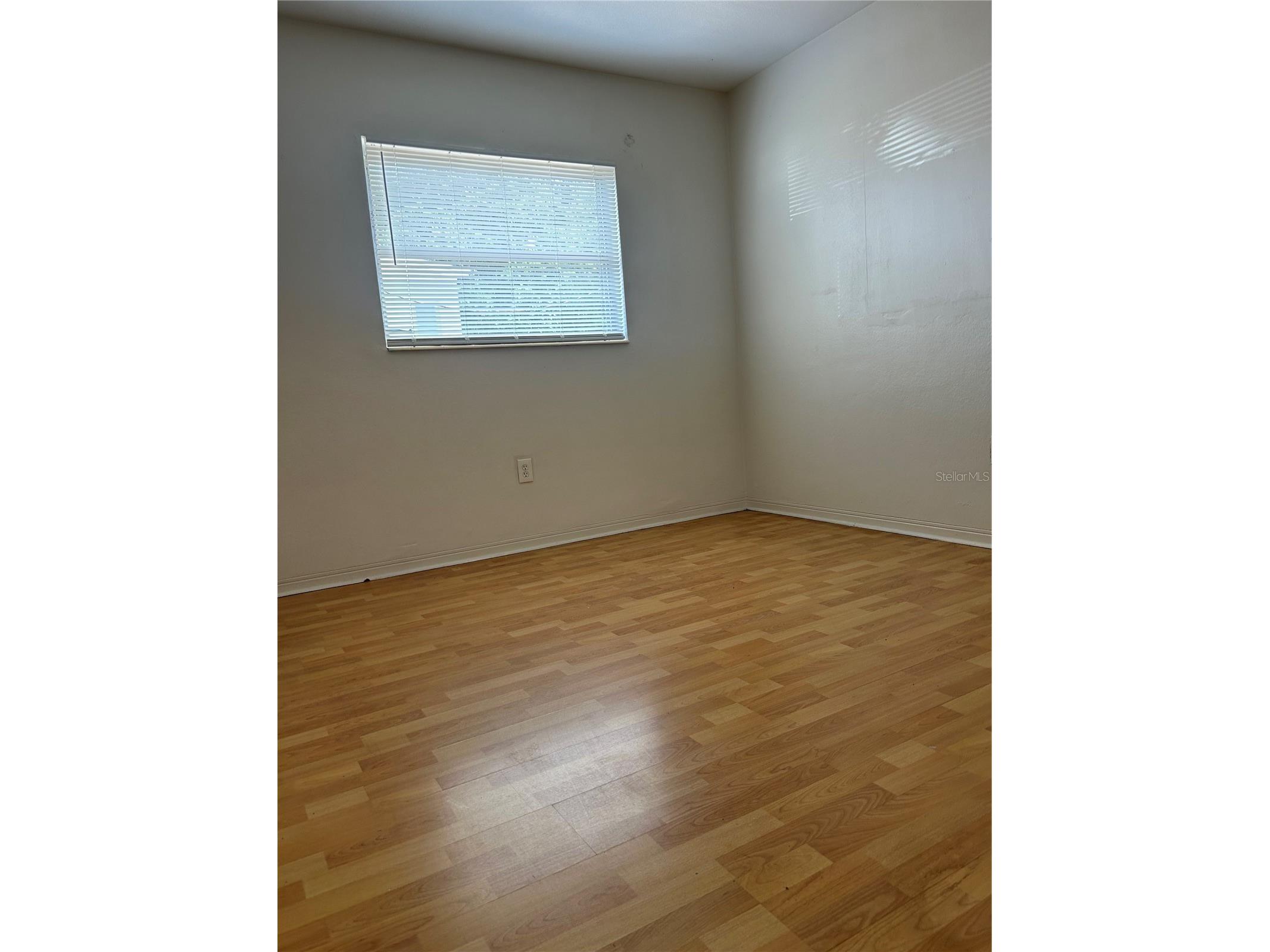 65 Lake Shore Drive Palm Harbor FL 34684 TB8487136 image15