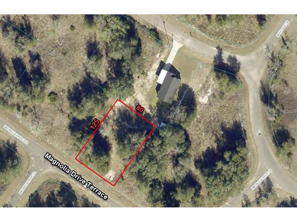 65 Magnolia Dr Terrace Ocklawaha FL 32179 O6097362 image1