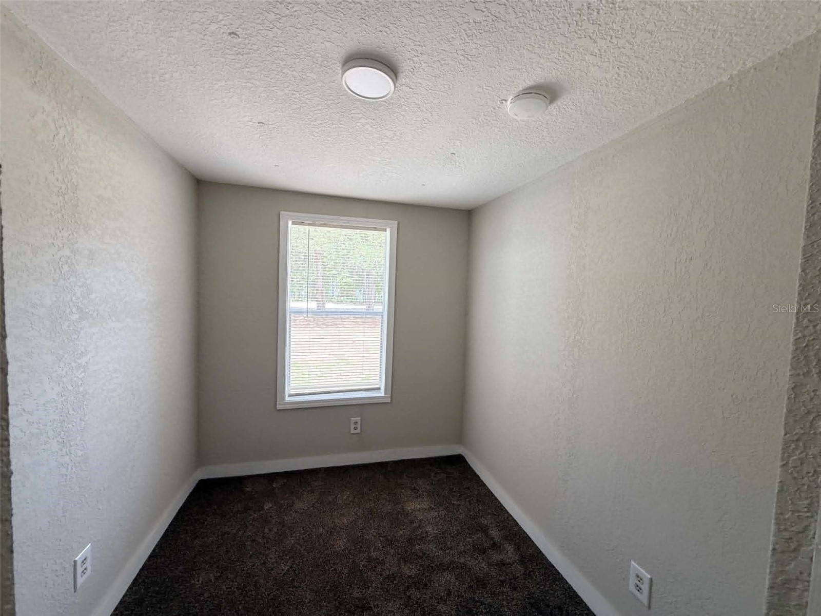 65 NE 528th Avenue Old Town FL 32680 GC541978 image11