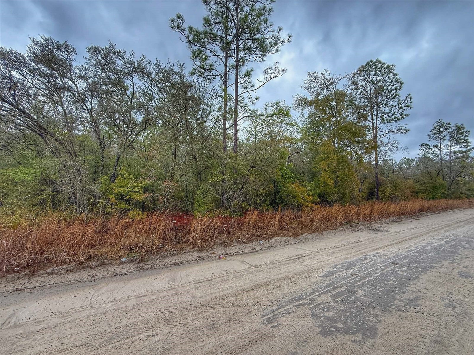 0000 NW 10th Avenue Bell FL 32619 GC537398 image6